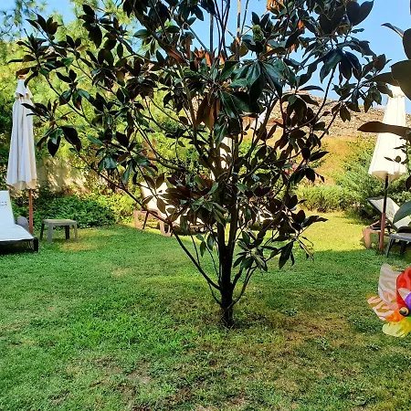 C Comfort & Wellness