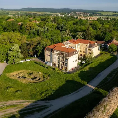 C Comfort & Wellness