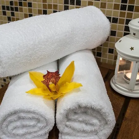 C Comfort & Wellness