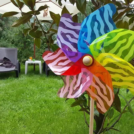 C Comfort & Wellness Hisarya