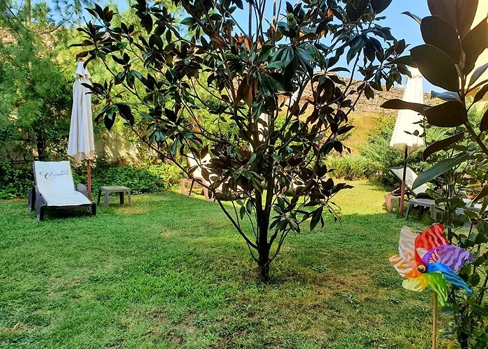 C Comfort & Wellness