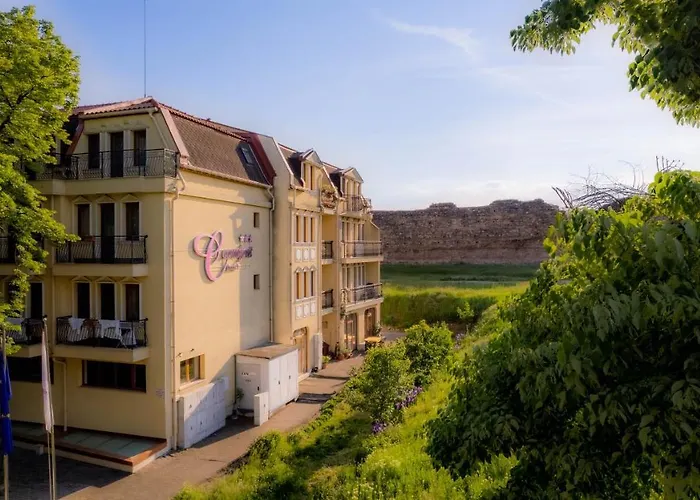 C Comfort & Wellness היסריה