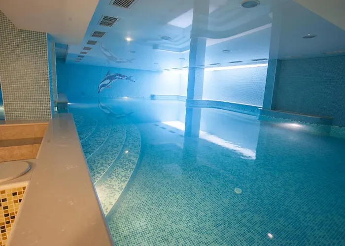 C Comfort & Wellness Hisarya