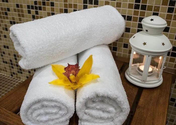 C Comfort & Wellness