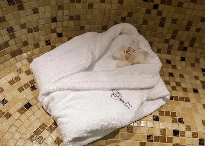 C Comfort & Wellness Hisarya