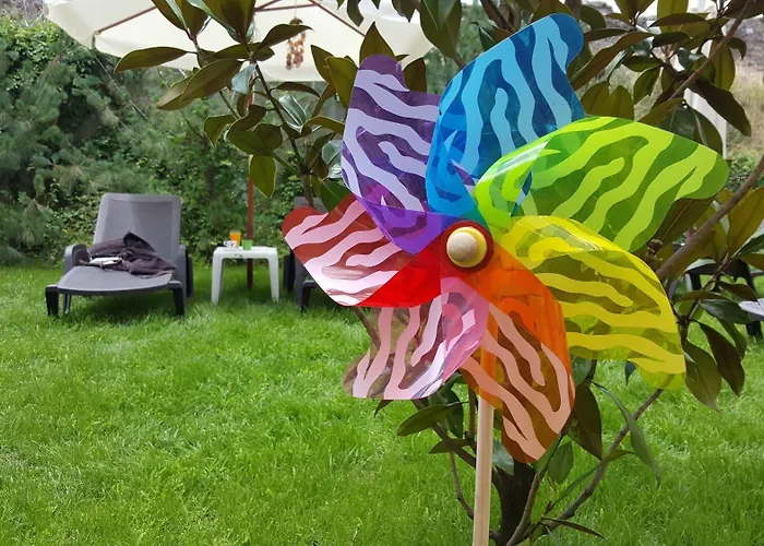 C Comfort & Wellness Hisarya