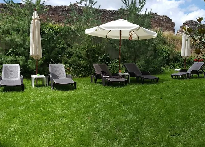 C Comfort & Wellness Hisarya